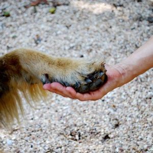 Meet your Posher, Annie